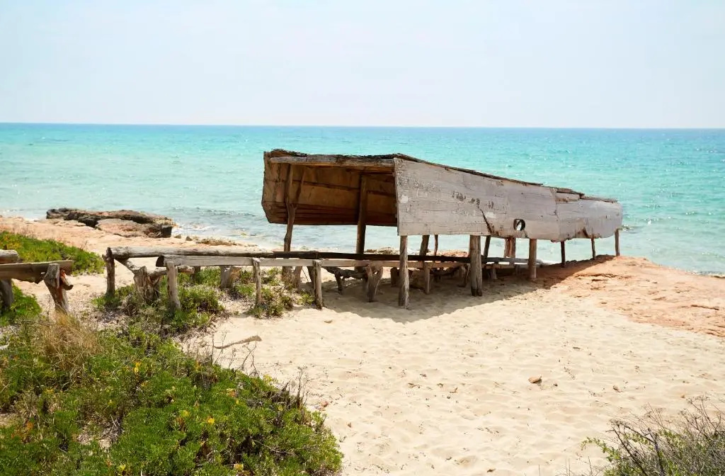 Insotel Hotel Formentera Playa - Général
