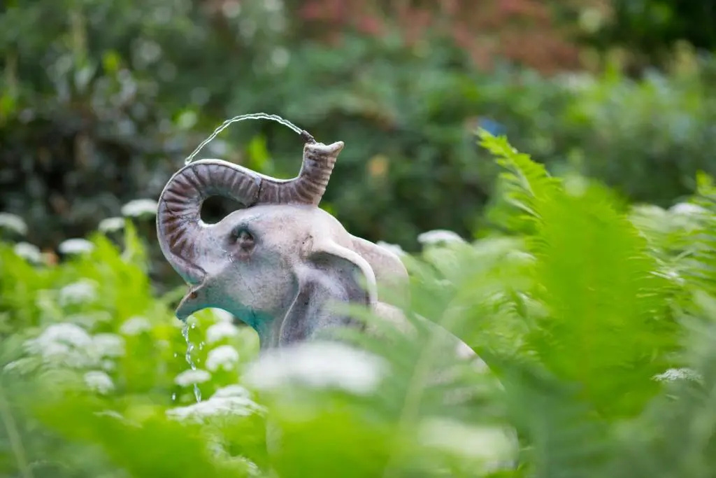 Hotel Elephant - Chambres