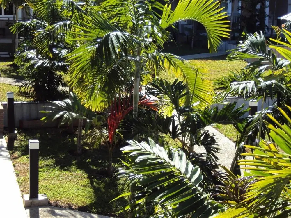 Hotel Colibri