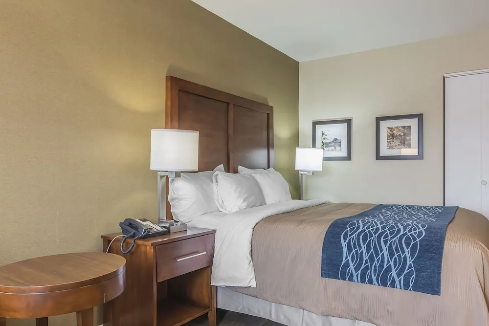 Comfort Inn - Chambres