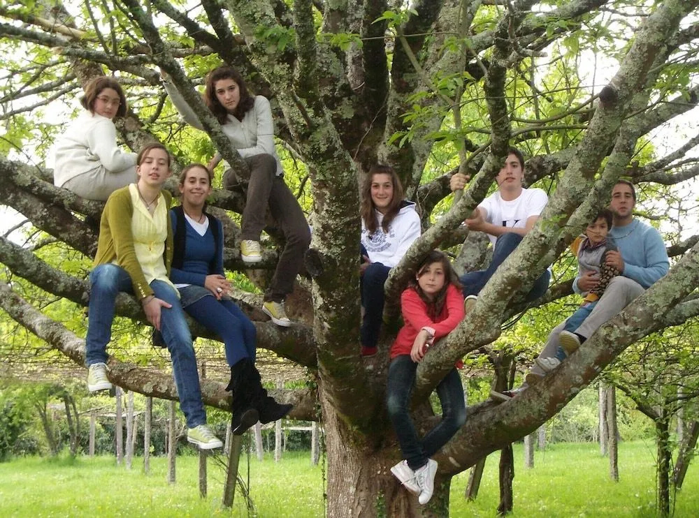 Pazo Cibrán - Général