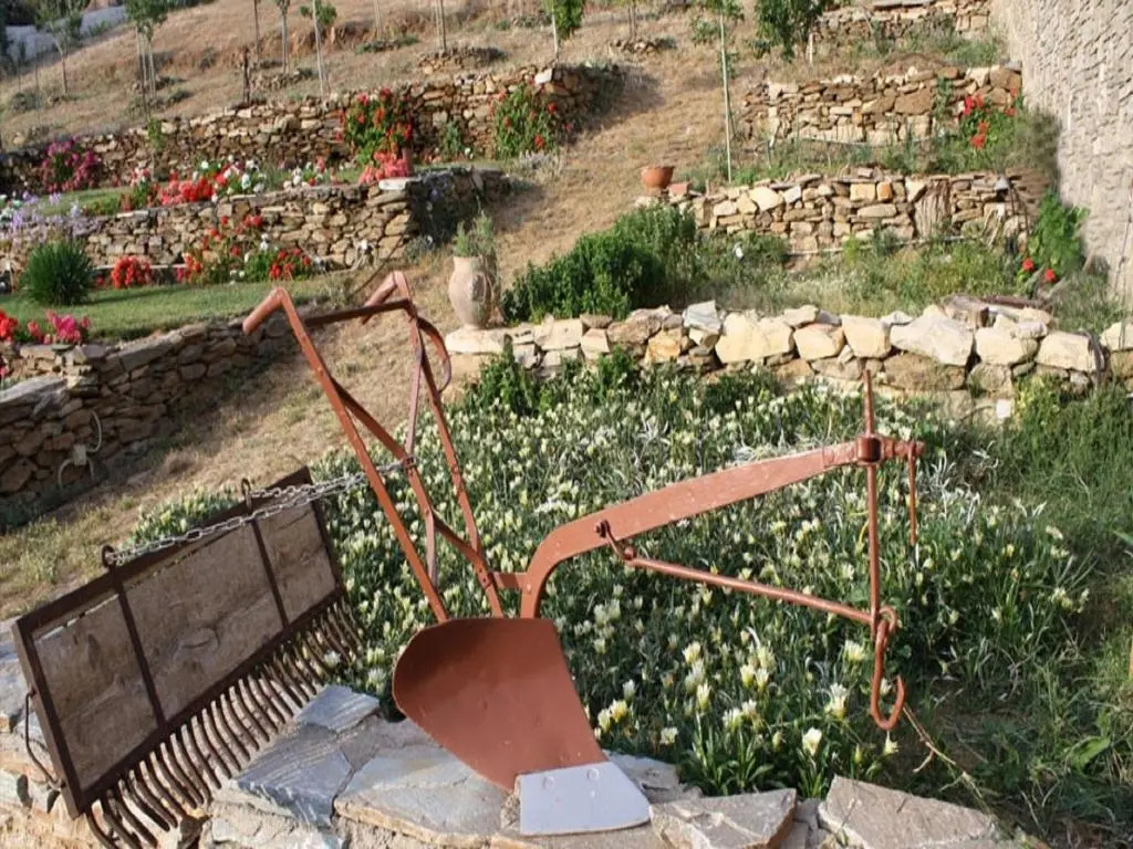 image url