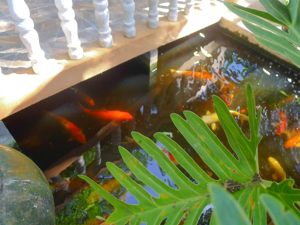 Garden Home Kata - Général