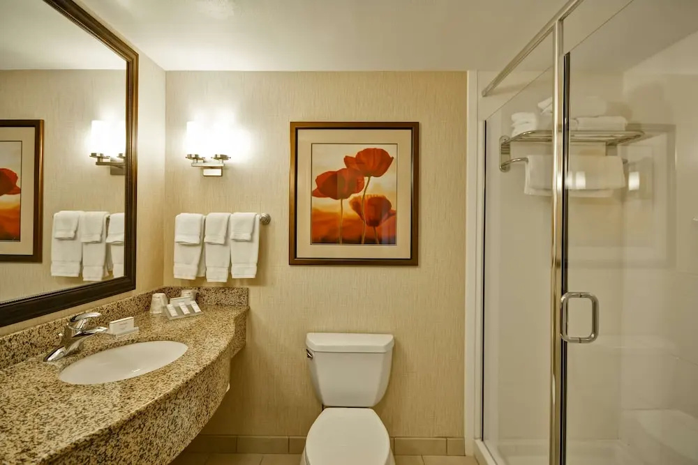 Hilton Garden Inn Tampa/Riverview/Brandon - Chambres