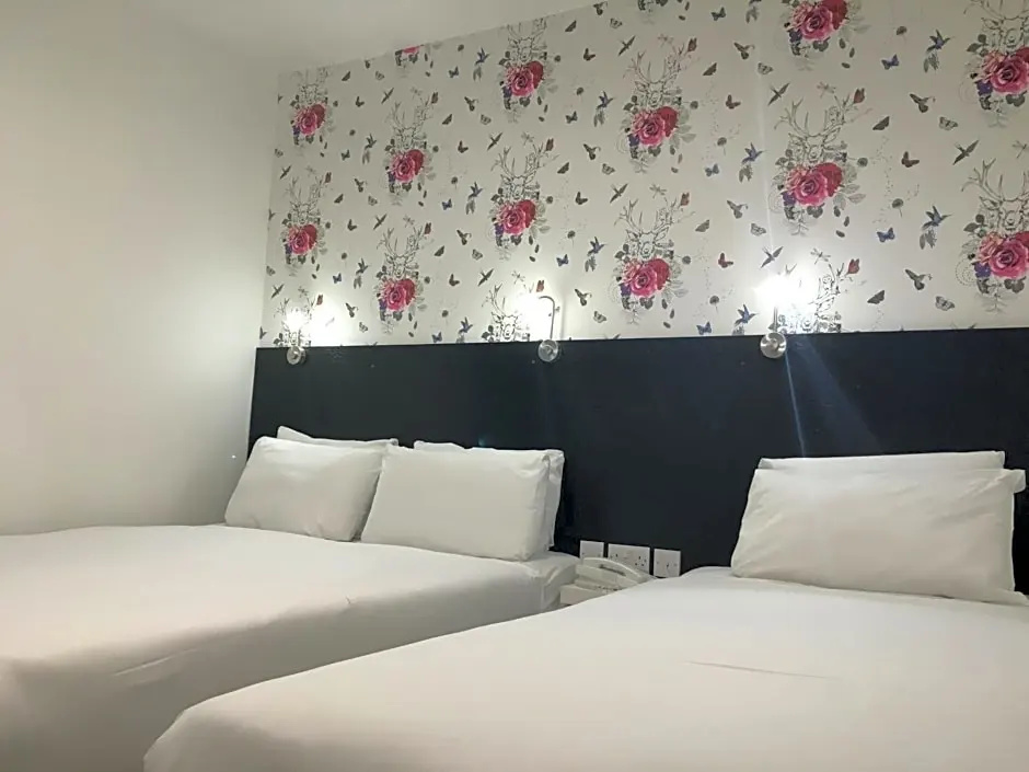 Clapham South Dudley Hotel - Chambres
