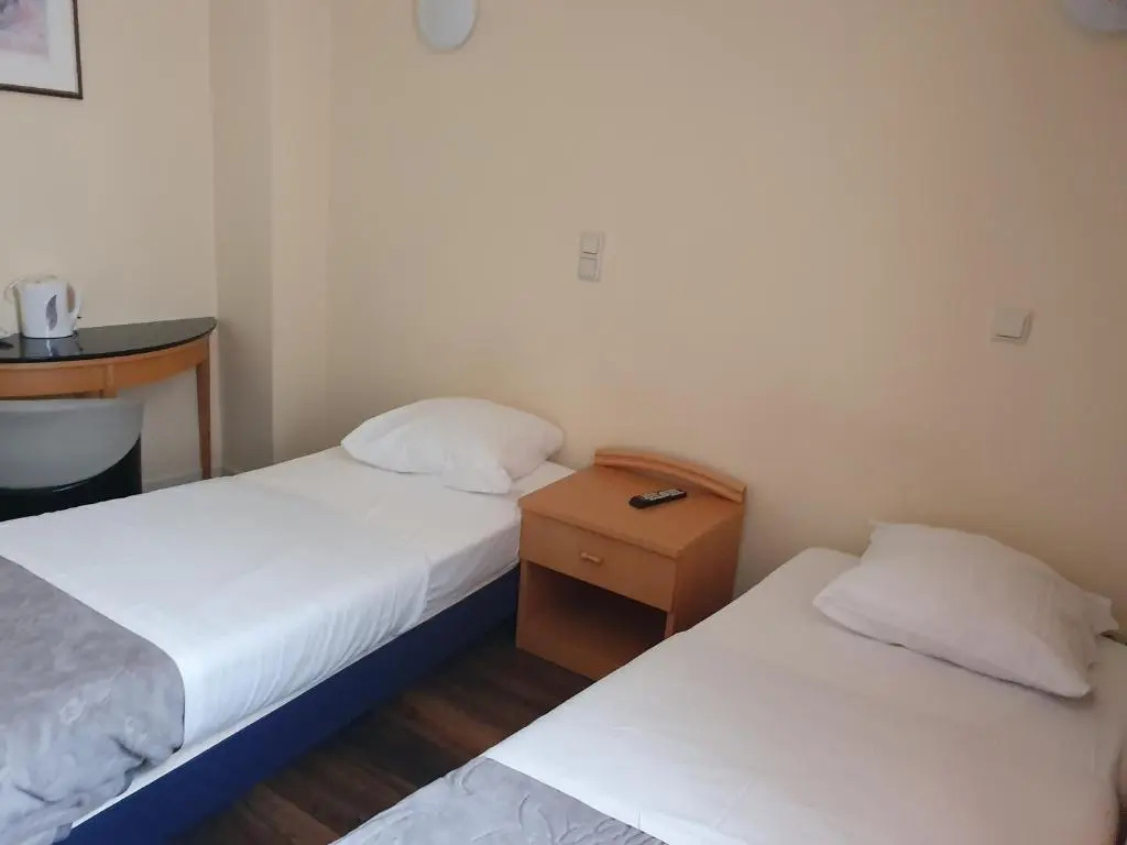Standard Double room (twin beds)