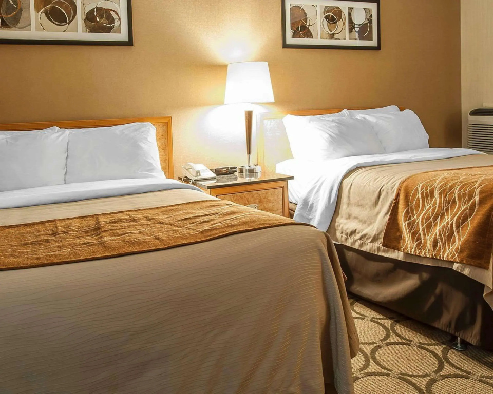 Comfort Inn - фото 7