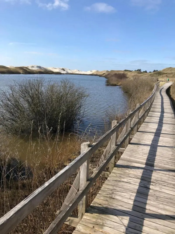 Hotel Südstrand Amrum - Vorschau 2