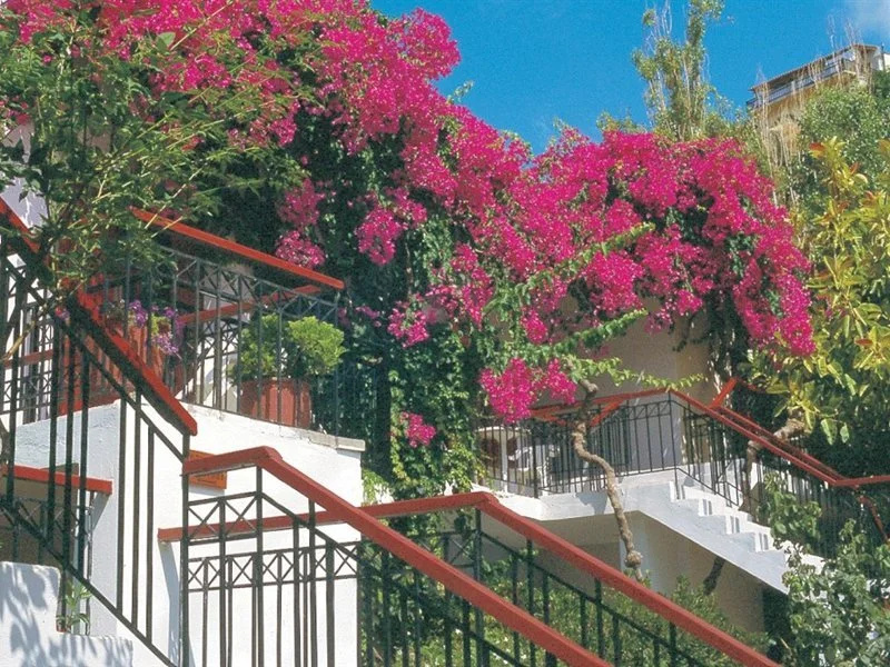 Balcony & Terrace