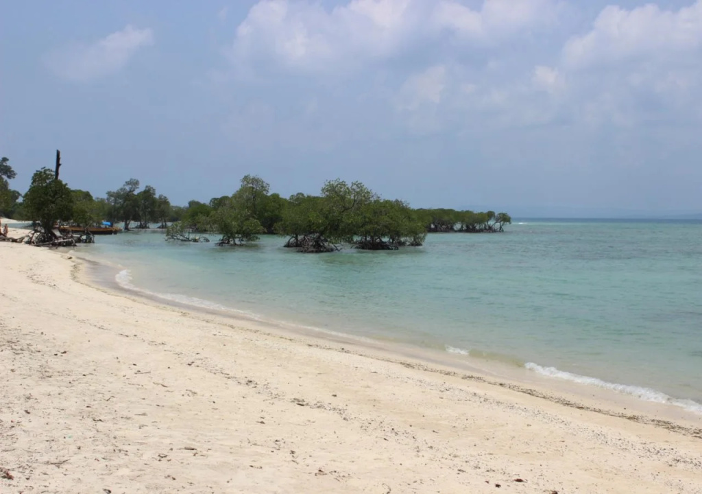 Beach & Waterfront