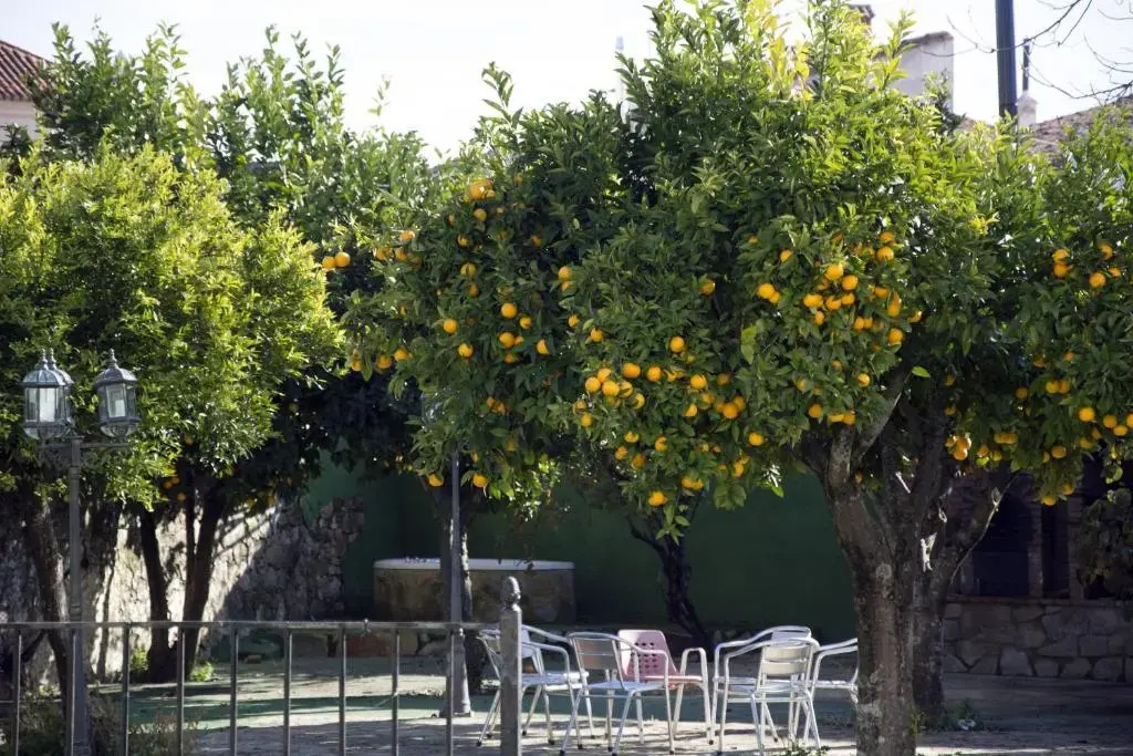 Hostal San Miguel by null