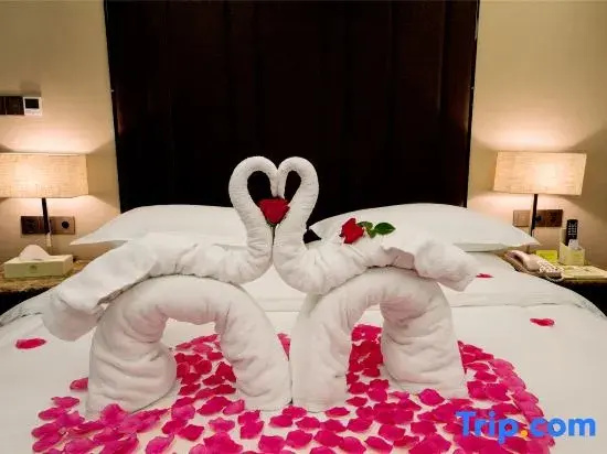 Vienna Hotel - Chambres