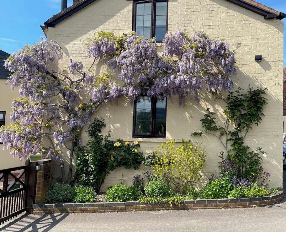 Wellinghill Cottage
