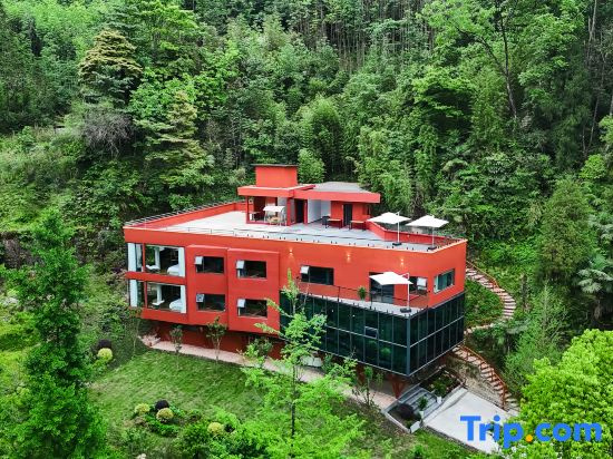 Fengchuibanxia Forest Hot Spring Homestay