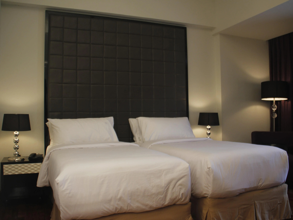 Deluxe Double room (twin beds)