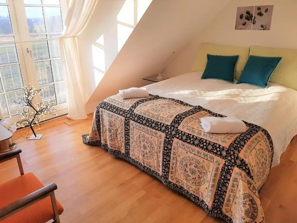 Standard Double room with balcony and with view (full double bed)