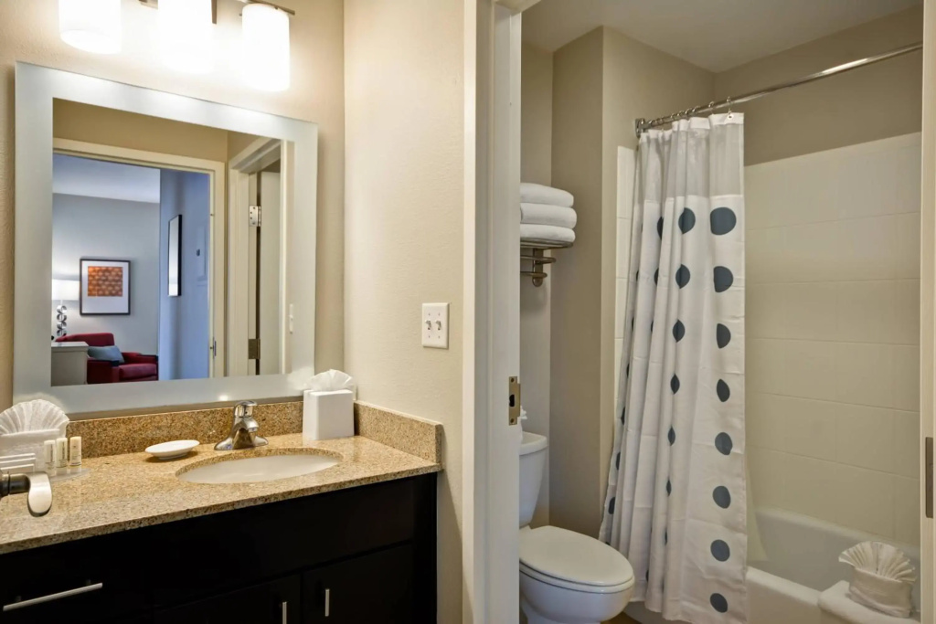 TownePlace Suites by Marriott Dallas Lewisville - Général
