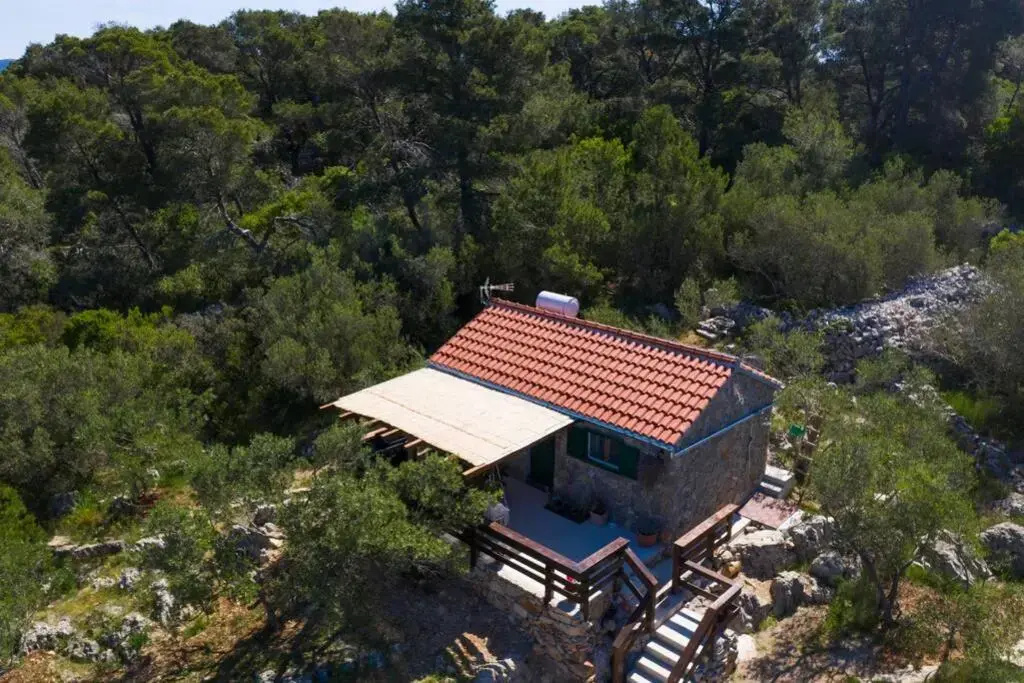 Robinson house''La Vida''