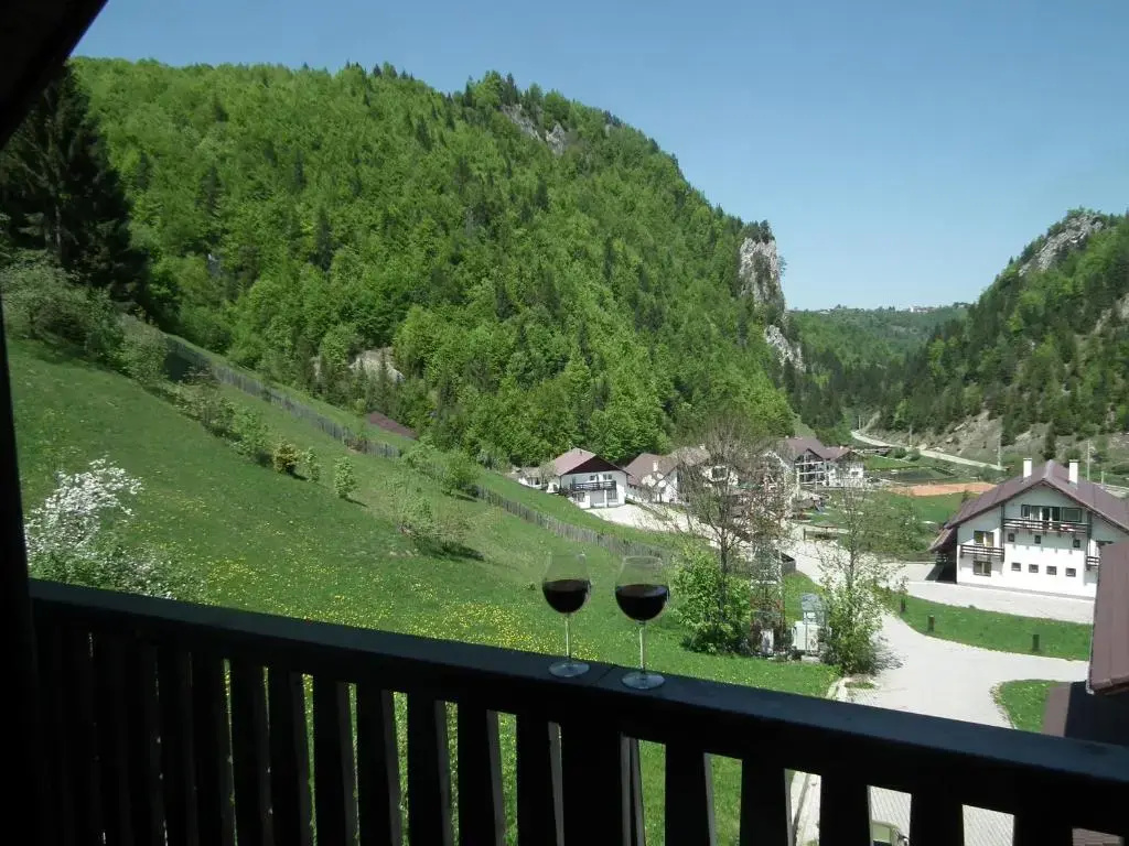 Standard Double room with mountain view (full double bed)