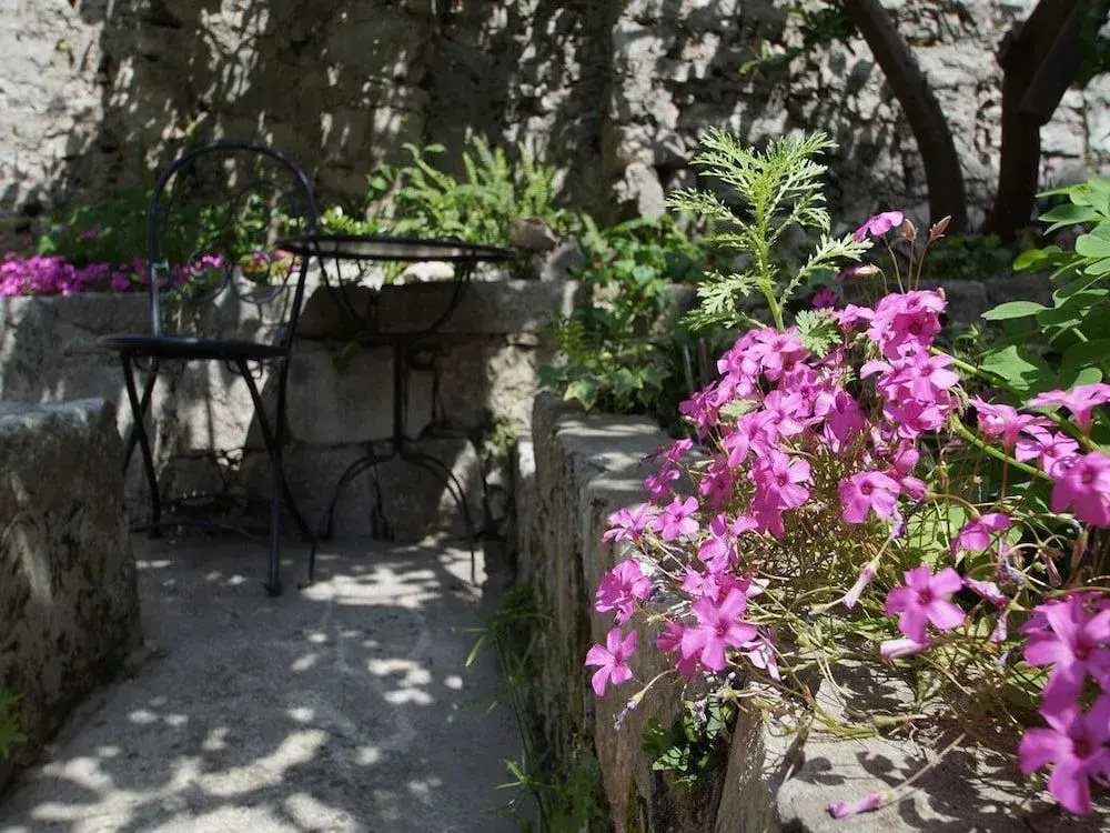 Guesthouse Old Town - Général