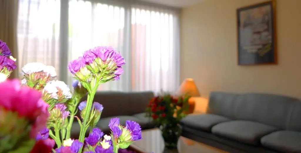 Oliva Plaza Hotel - Chambres