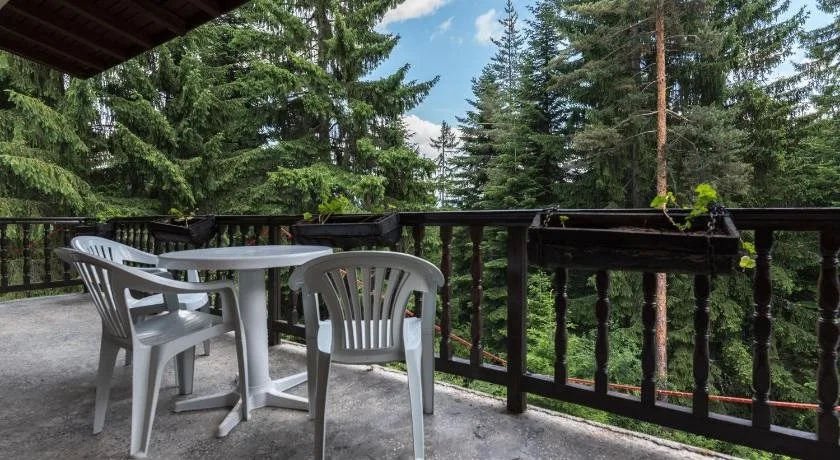 Balcony & Terrace