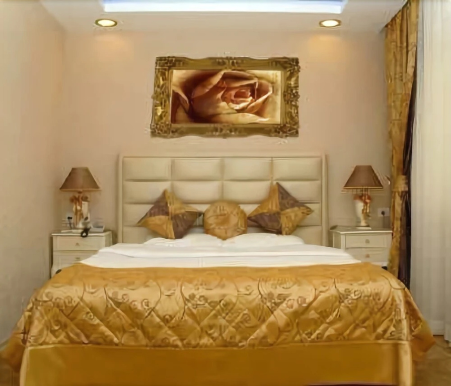 Golden Boutique Hotel - Général