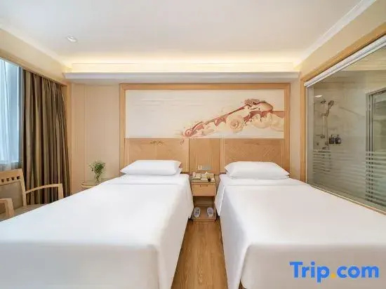 Deluxe Double room (twin beds)