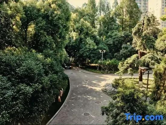 Wuhan Conference Center - Général