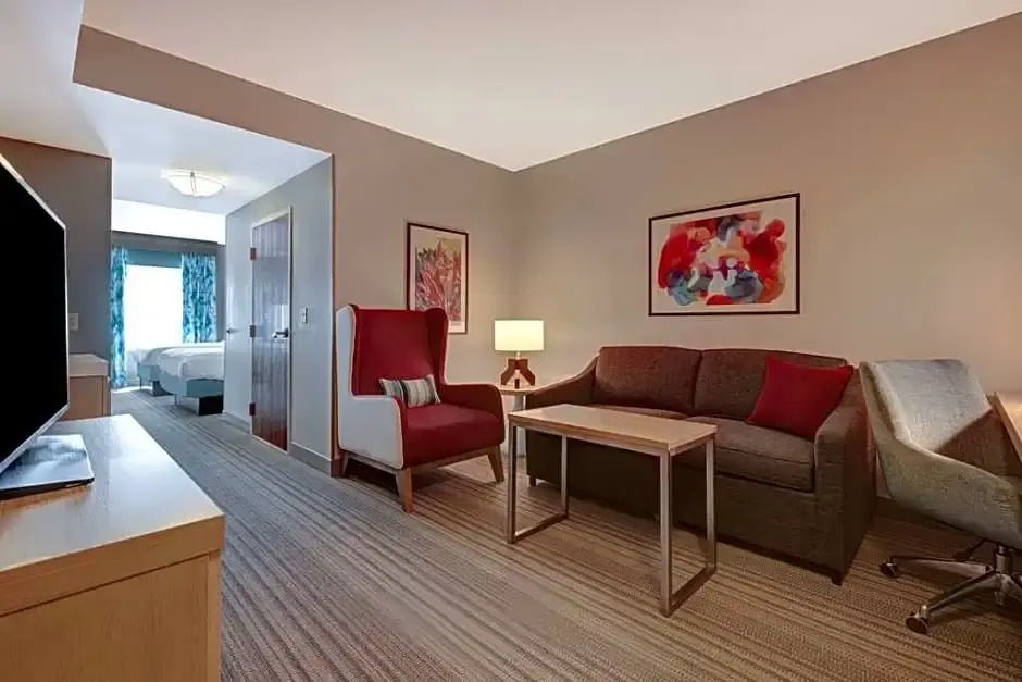 Hilton Garden Inn Tampa Northwest/Oldsmar - Chambres