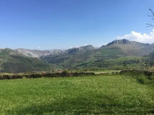 gallery_image_hidden_17