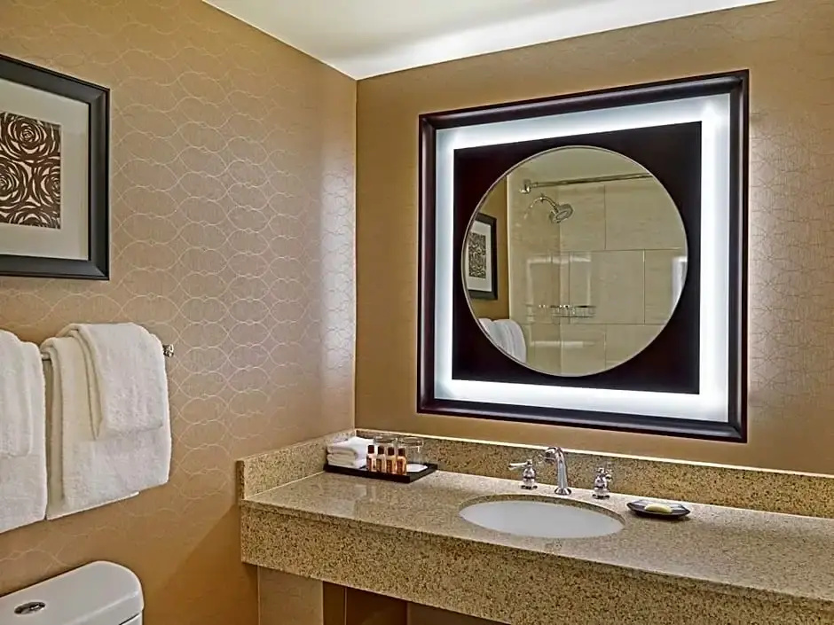 Sheraton Detroit Novi Hotel - Chambres