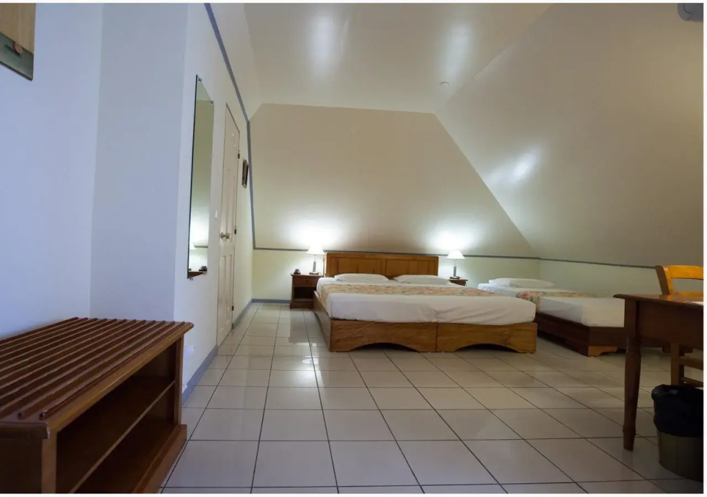 Hotel La Fournaise - фото 5