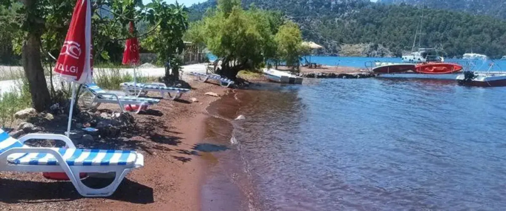 Beach & Waterfront