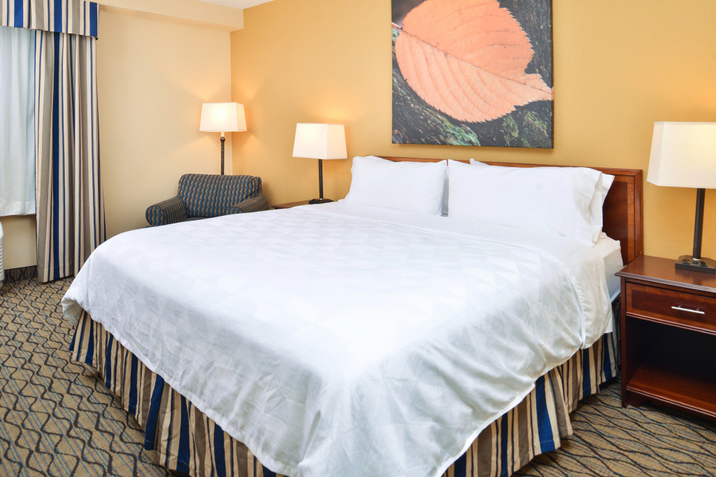 Holiday Inn & Suites Chicago - Downtown by IHG - Général