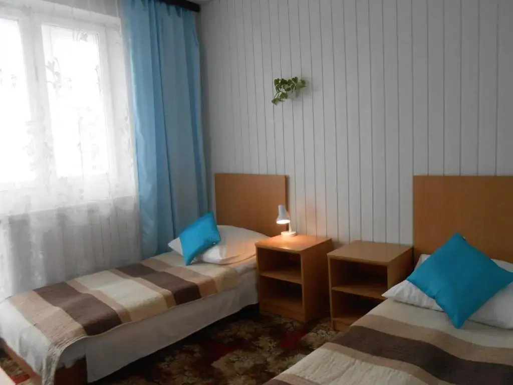 Superior Double room (twin beds)
