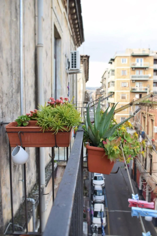 A Casa di Sebina