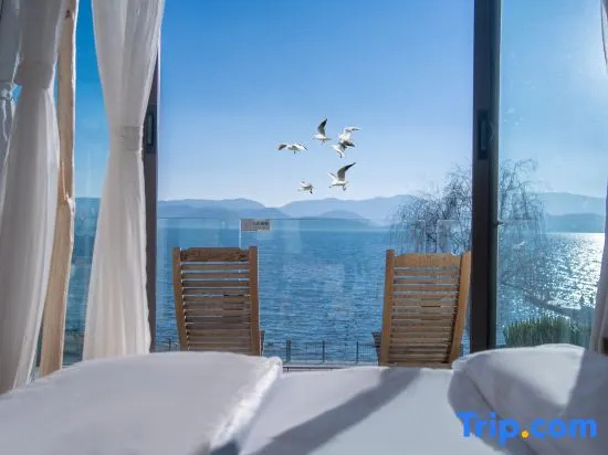 Standard Double room with sea view (full double bed)