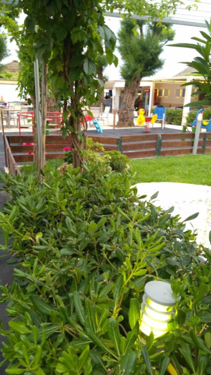 Hotel photo 35