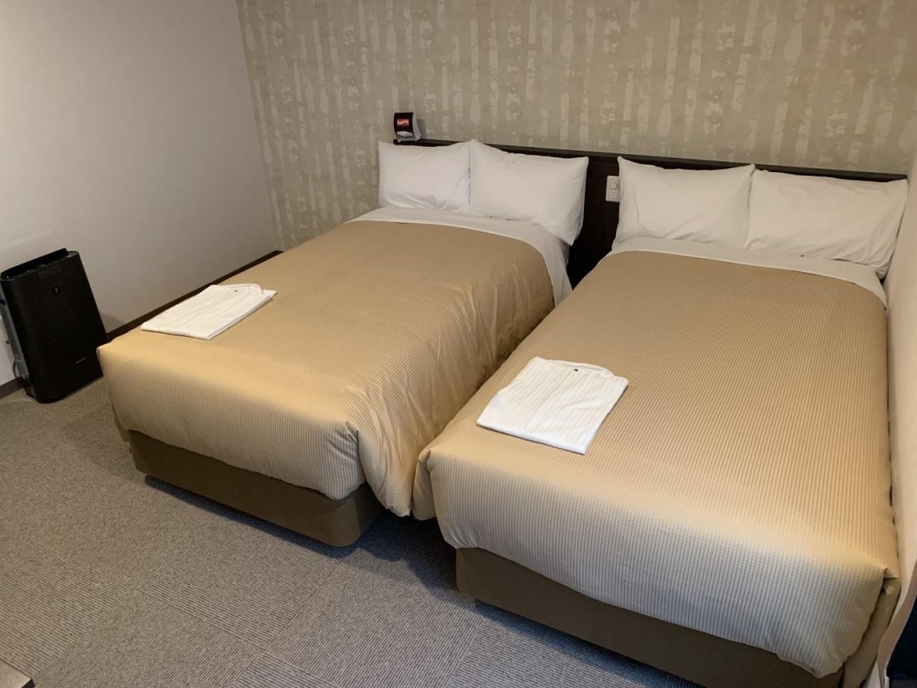 HOTEL LiVEMAX Kyoto Nijojo Nishi 사진 6