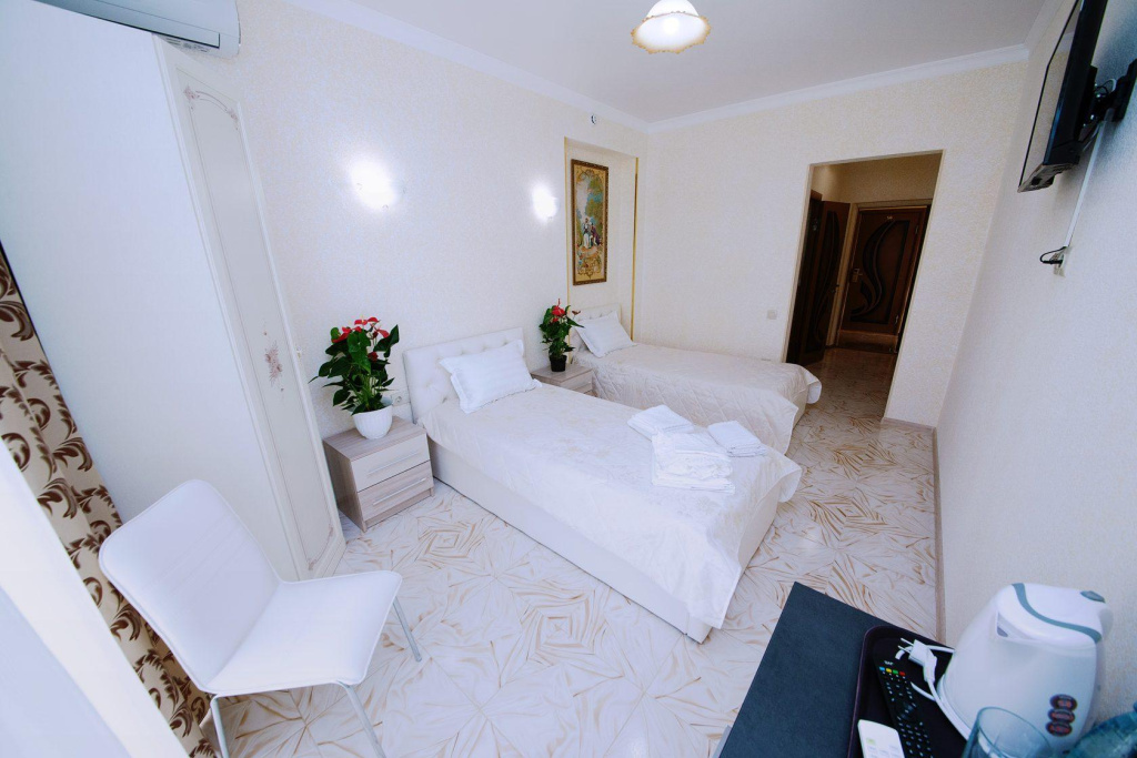 Superior Double room with balcony (twin beds)