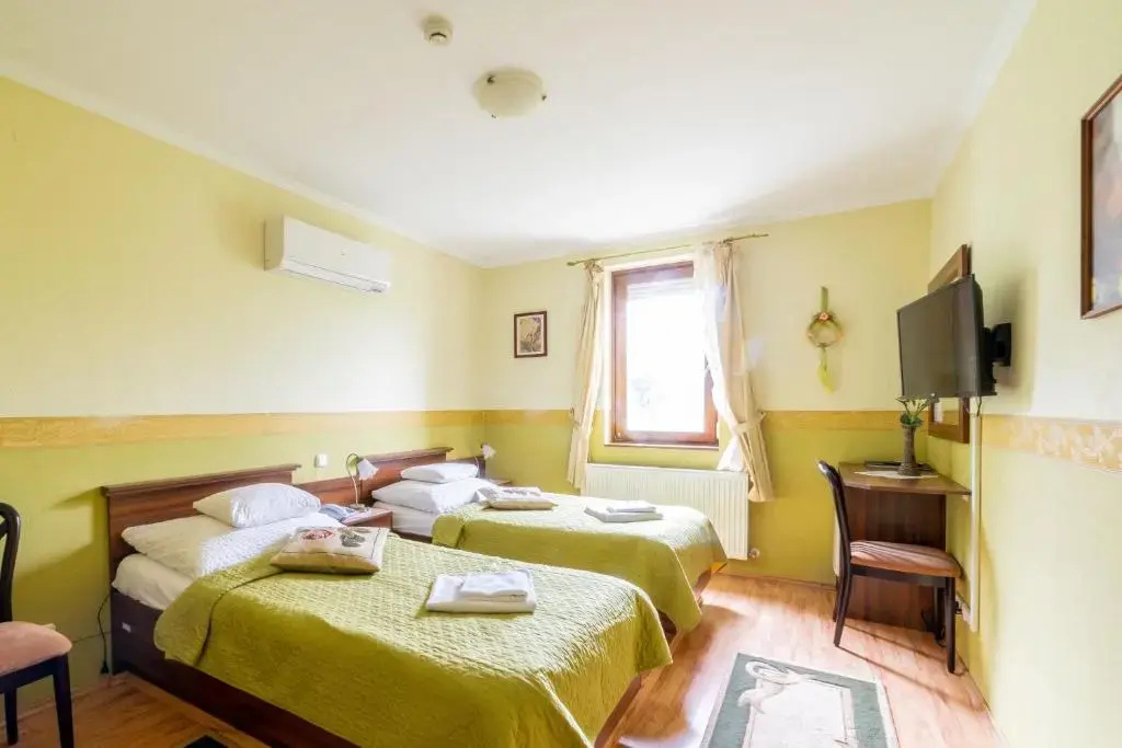 Deluxe Double room (twin beds)