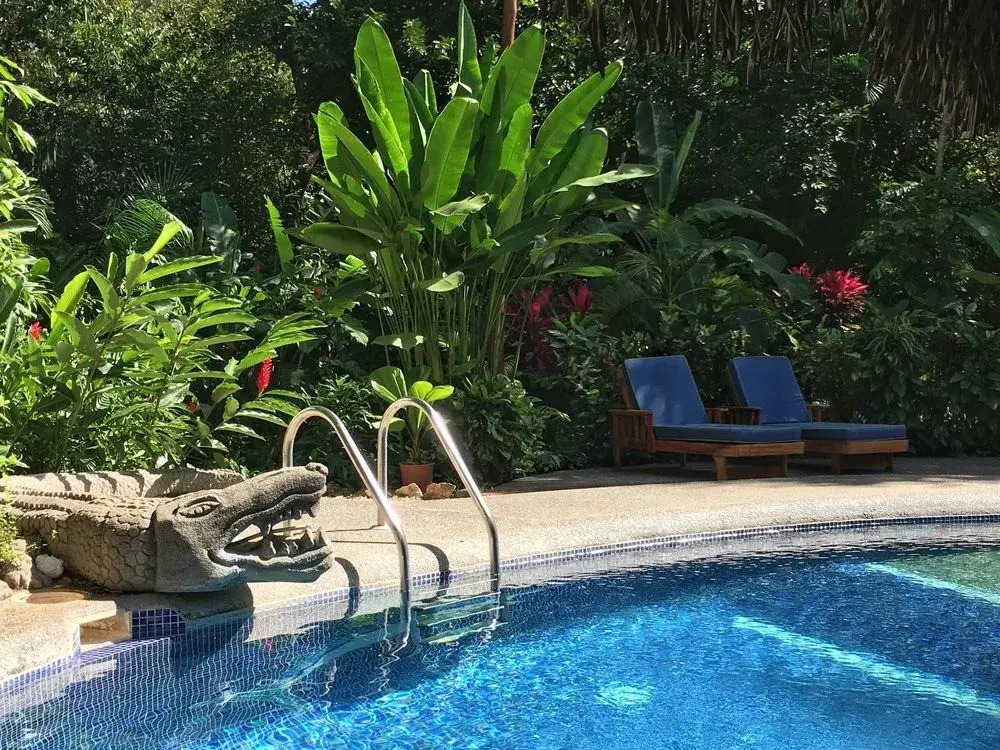 Harbor Reef - фото 6