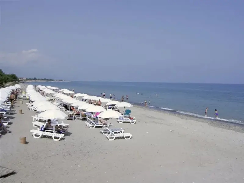 Beach & Waterfront