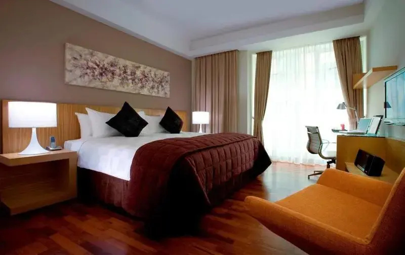 Deluxe Double Studio Apartment (full double bed)
