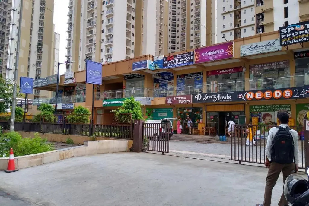 Luxurious Entire Suites/Studio Apt nearDelhi Noida