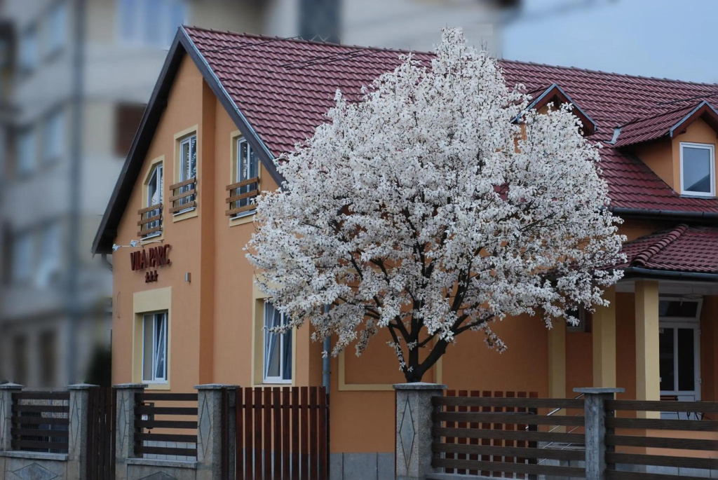 apartmentpicture