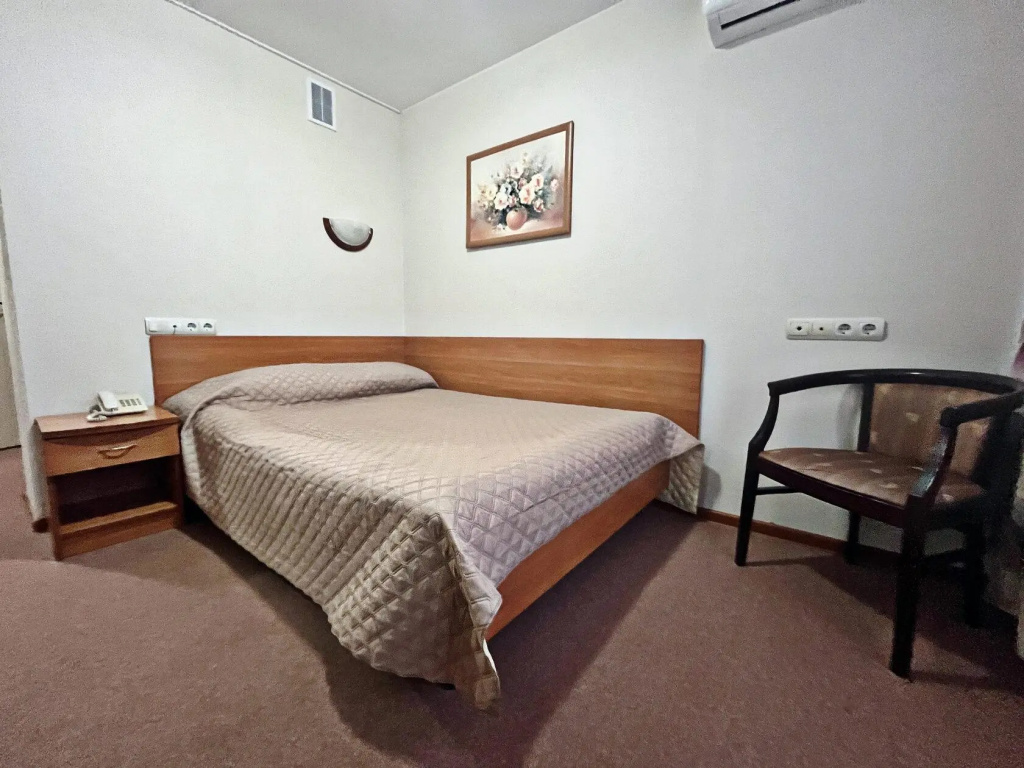 Standard Double room (full double bed)