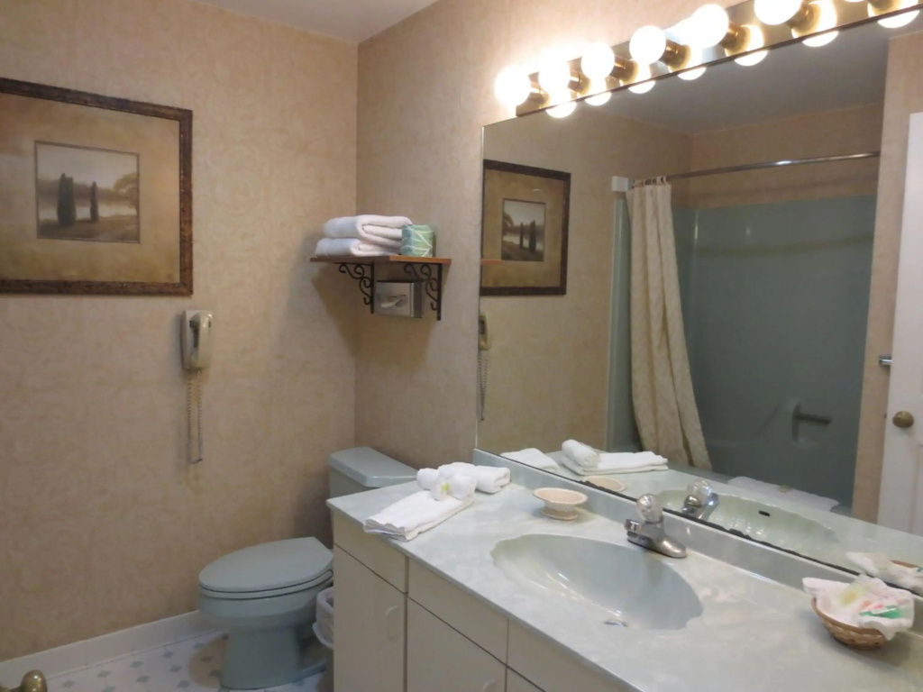 Roosevelt Inn and Suites Saratoga Springs - фото 23