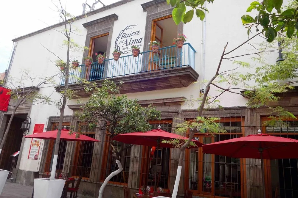 Raices del Alma Hotel Boutique(Raíces Del Alma Hotel Boutique) - Général